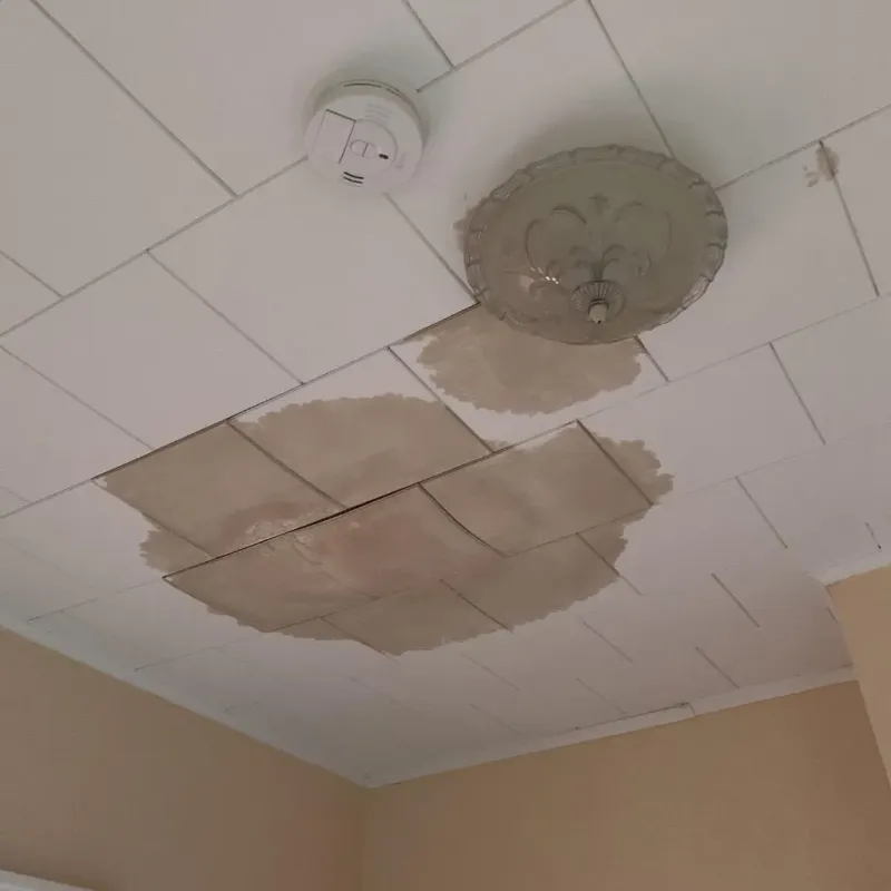 Ceiling Water Damage Repair in Oakwood, NY